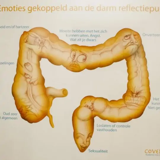 Afbeelding zonder ALT
